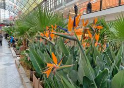 Fruehling In Der Goethe Galerie Jena 000024